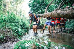 BIB: 
                            <button type="button" onclick="openModal(25469328)" class="btn btn-primary btn-sm float-right btn-popup" data-toggle="modal" data-target=".modal-high-quality">
                        <i class="fas fa-shopping-cart"></i> Add to Cart
                    </button>
                                            <button type="button" onclick="isThisMe(25469328, true)" class="btn btn-success btn-sm float-right btn-popup btn-isme hidden" data-toggle="tooltip" data-placement="bottom" title="นี่คือรูปของคุณใช่ไหม คลิกที่นี่เพื่อเอาเข้าอัลบั้ม">
                        <i class="fas fa-plus"></i> Add to album
                    </button>
                    <button type="button" onclick="isThisMe(25469328, false)" class="btn btn-warning btn-sm float-right btn-popup btn-isnotme hidden">
                        <i class="fas fa-ban"></i> Remove from album
                    </button>